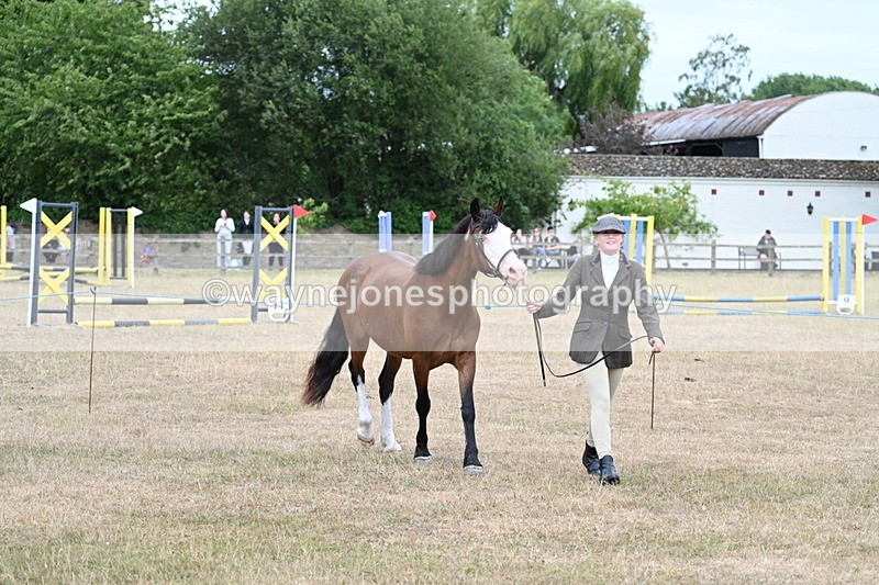 WJ7_8456 - Class 4 Prettiest Mare up to 14.2hh