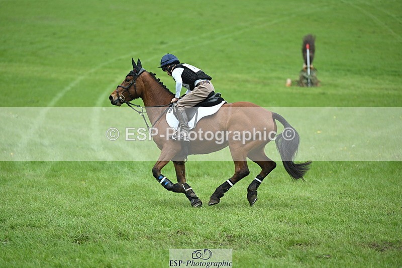 250419-143038-11770 - 711-Osbert.Stone-BALLYARD.BROUGH.LADY