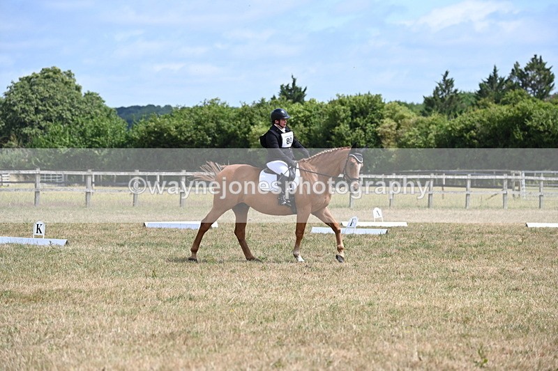 WJ6_3541 - Time 11:34 to 11:43