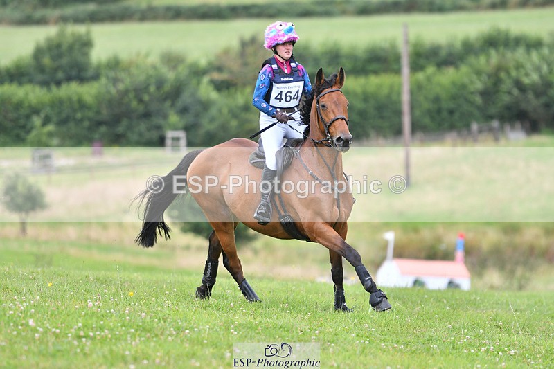 240804-131402-13729 - 464-Tichy_Sanders-SPARHANGER_VELVET