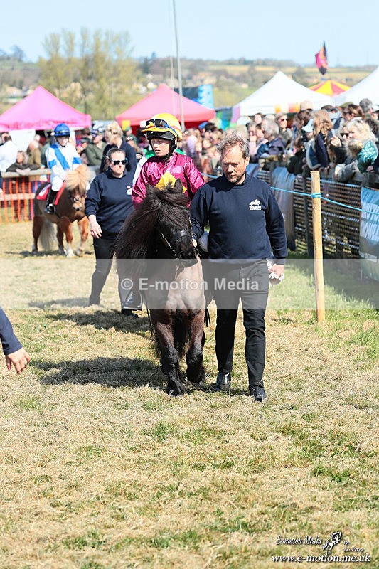 Shet 060426 78 - Shetland Pony Racing Paxford Races Easter Mon 06/04/26