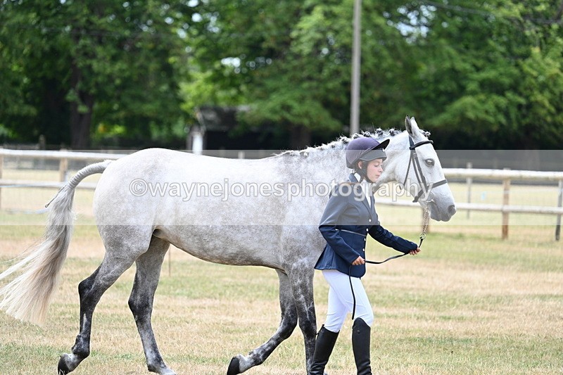 WJ7_1871 - Class 4a Prettiest Mare 14.2hh and over hand