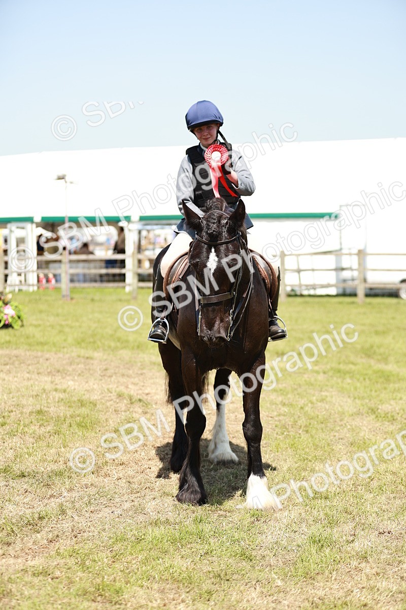 SBM_17374 - Class 110-111 - Training Stakes (70cms 80cms)