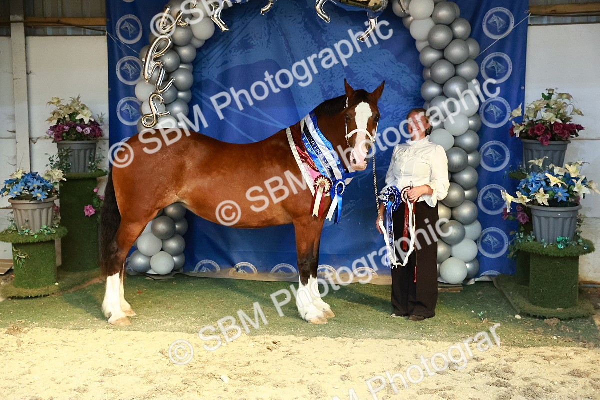 SBM_17991 - M&M Supreme Final Champ