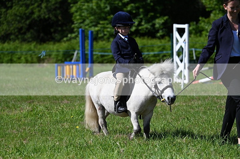 WJ7_0558 - Class 8 First Rally Pony