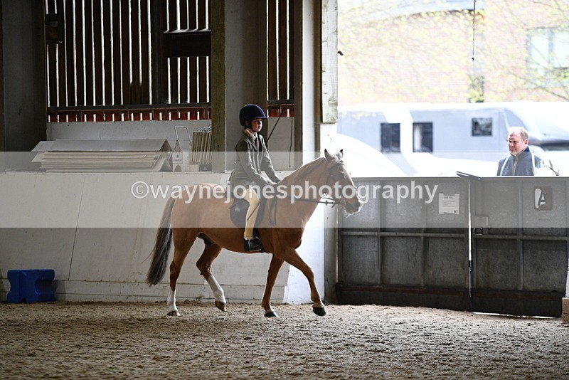 WJ5_6828 - Class 10 Childs Pony