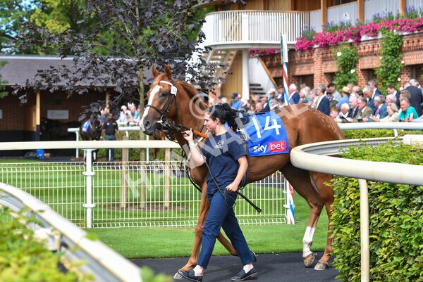 yr17082022r1-001 - Race 1 1.50pm Sky Bet & Symphony Group Stakes