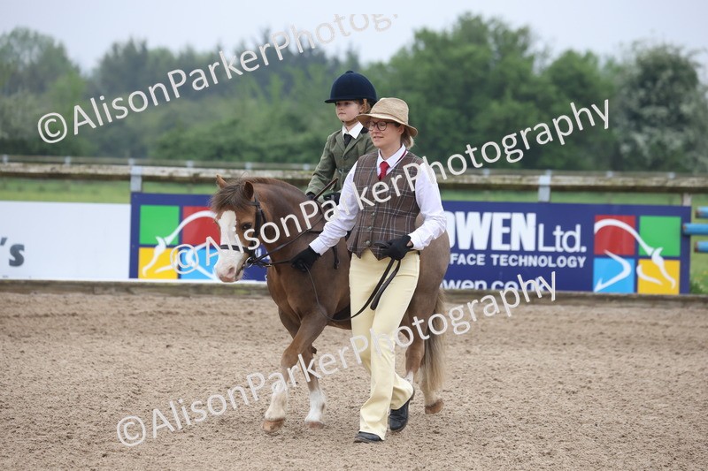 20260504-0095 - Class 9 - Lead Rein Pony