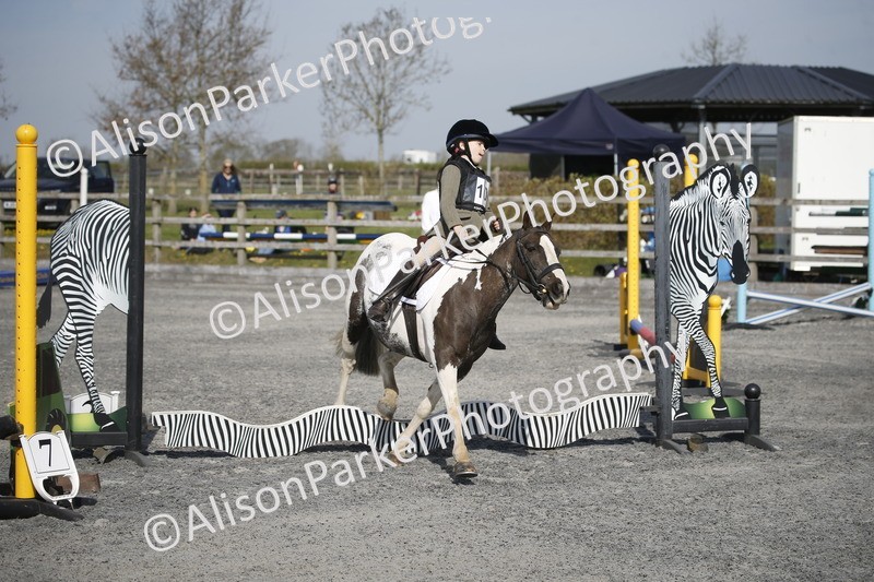 20250412-0250 - Show Jumping