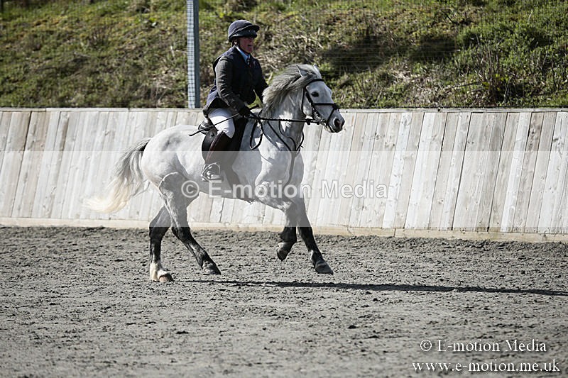 BVRC SJ 170319 287 - Bourne Valley Riding Club Showjumping 17/03/19