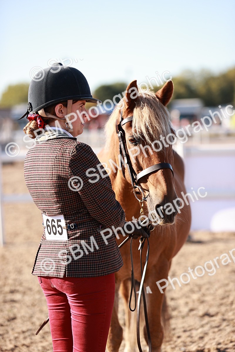 SBM_11405 - Class 402 - IH  Veteran pony