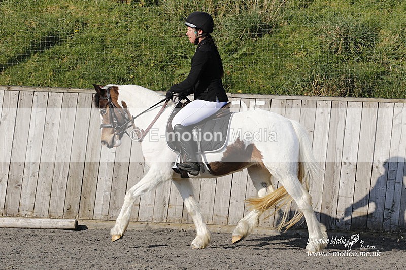 _EST0160 - Bourne Valley Riding Club Winter Showjumping 27/03/22