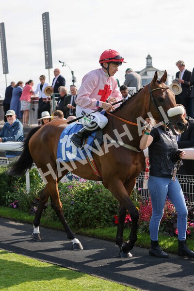 yr18082021r5-30 - Race 5 4.10pm Sky Bet Stakes