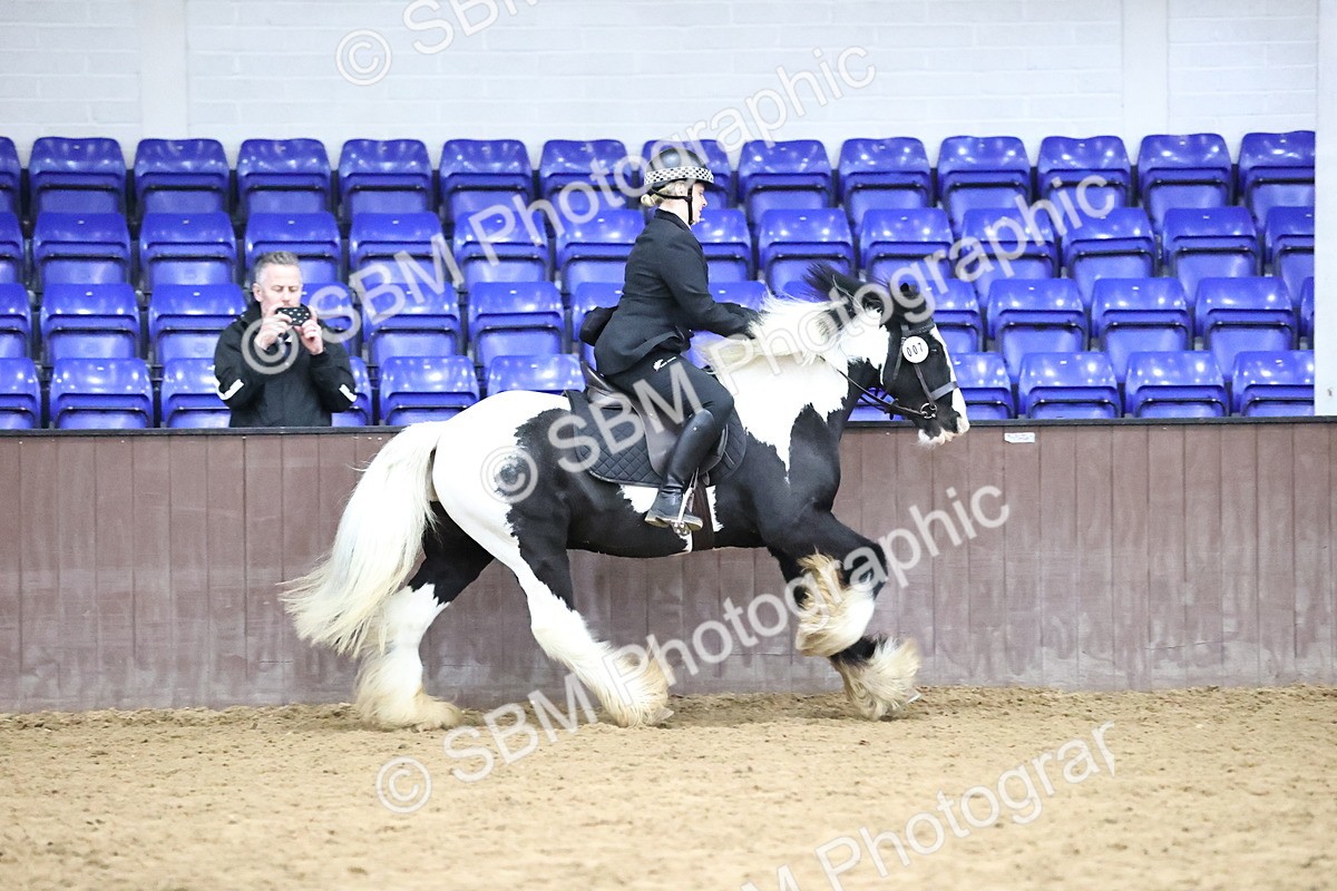 SBM_6381 - Class 45-42 - Ridden Irish Breeds-Ridden Cob