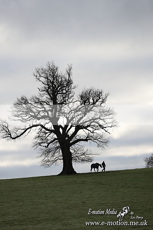 PtP 291224 65 - Harkaway Club PtP Chaddesley Corbett 29/12/24