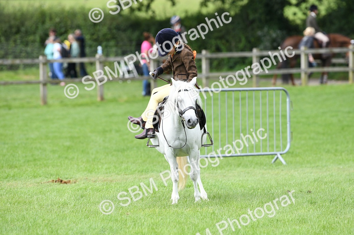 SBM_46813 - S12 - Family Horse & Pony