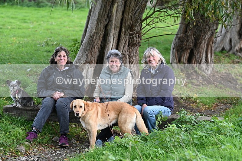 WJ7_1129 - Time 14:27 to 15:11