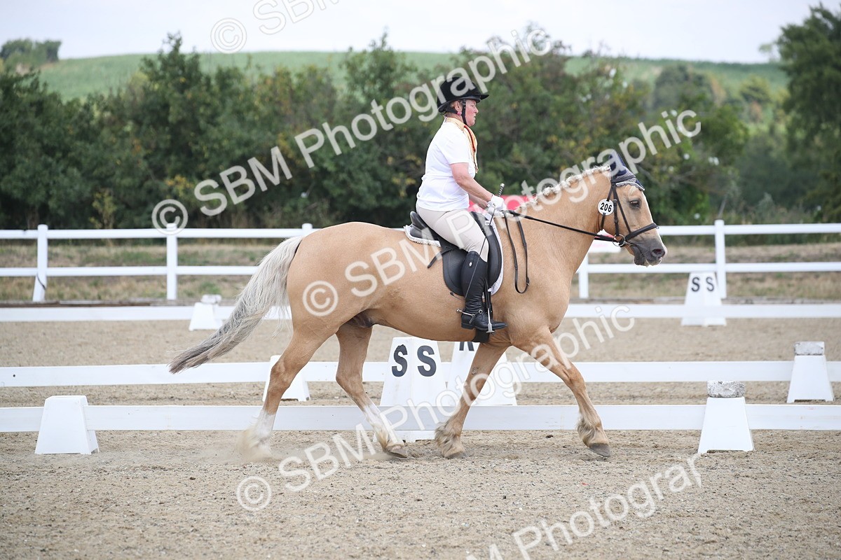 SBM_008200 - Novice 5 - 10.56-13.12