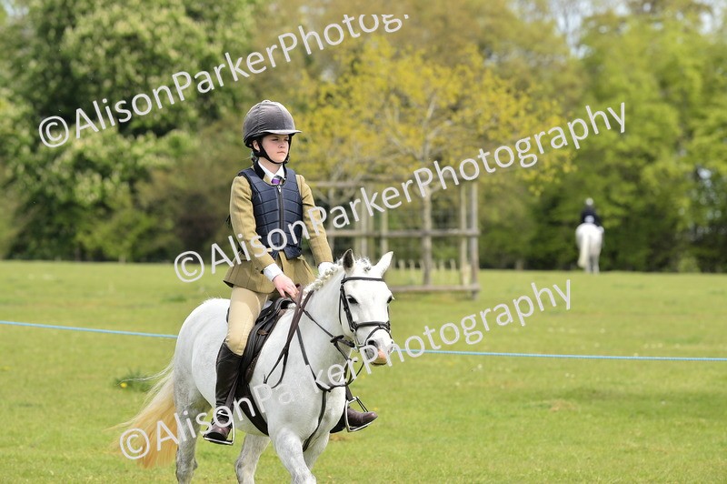 20260426-2446 - Class 21 - Working Hunter Ponies