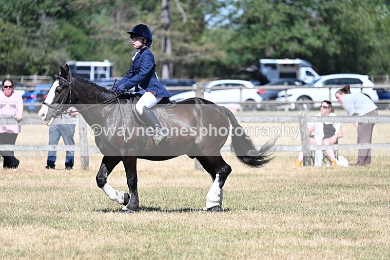 WJ7_3685 - Class 8 Ridden Veterans