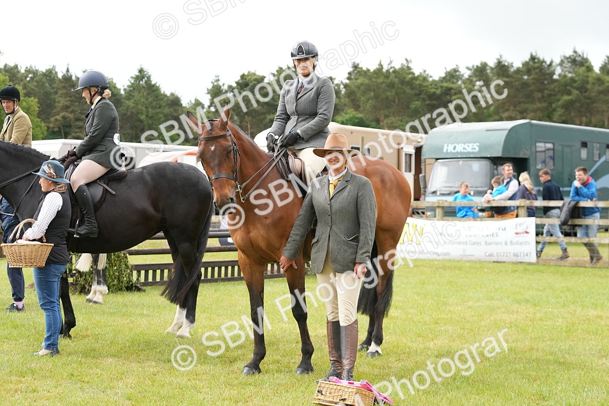 SBM_12790 - Class 97-98 - LIHS BSHA Rising Star Working Show Horse Hunter