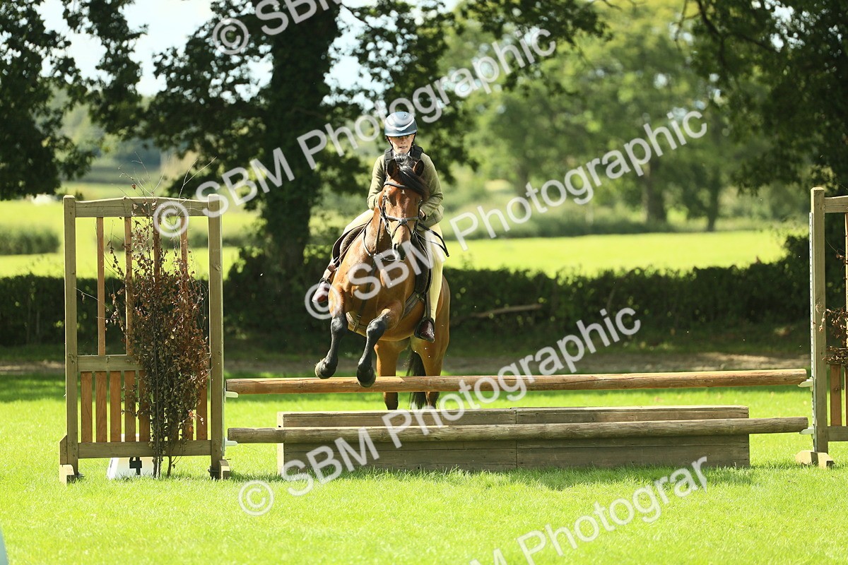 SBM_42988 - S30 - M&M Working hunter Pony