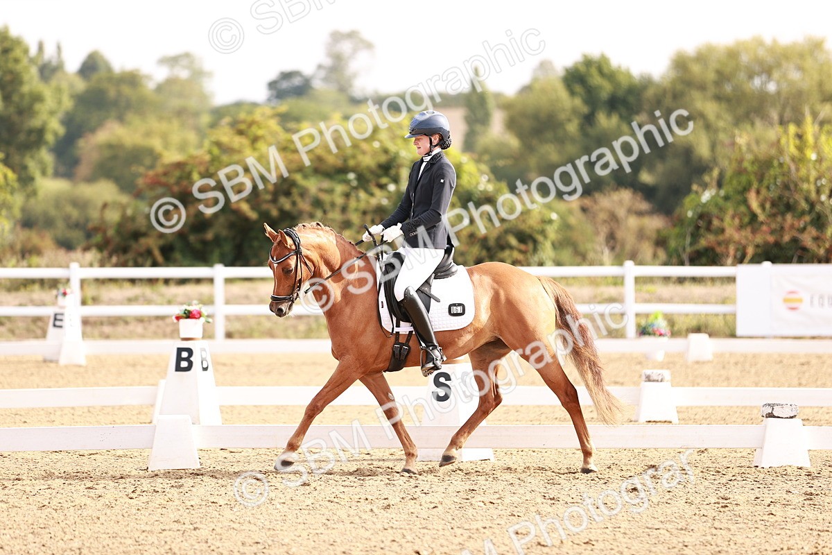 SBM_016904 - Class 10 - Medium 6