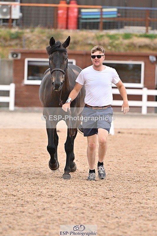 250716-160022-02328 - Trot Up 3.30 to 4.30