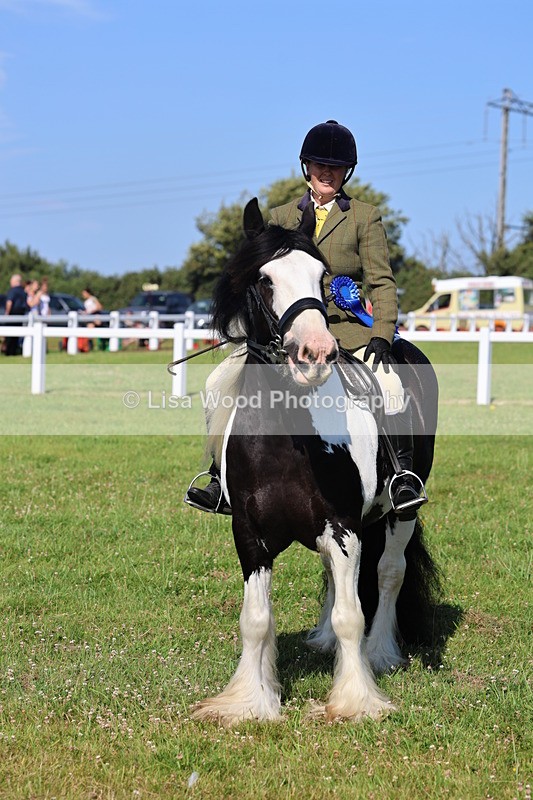 IMG_1602 - Class 30: Ridden Native/Trad Coloured Pony