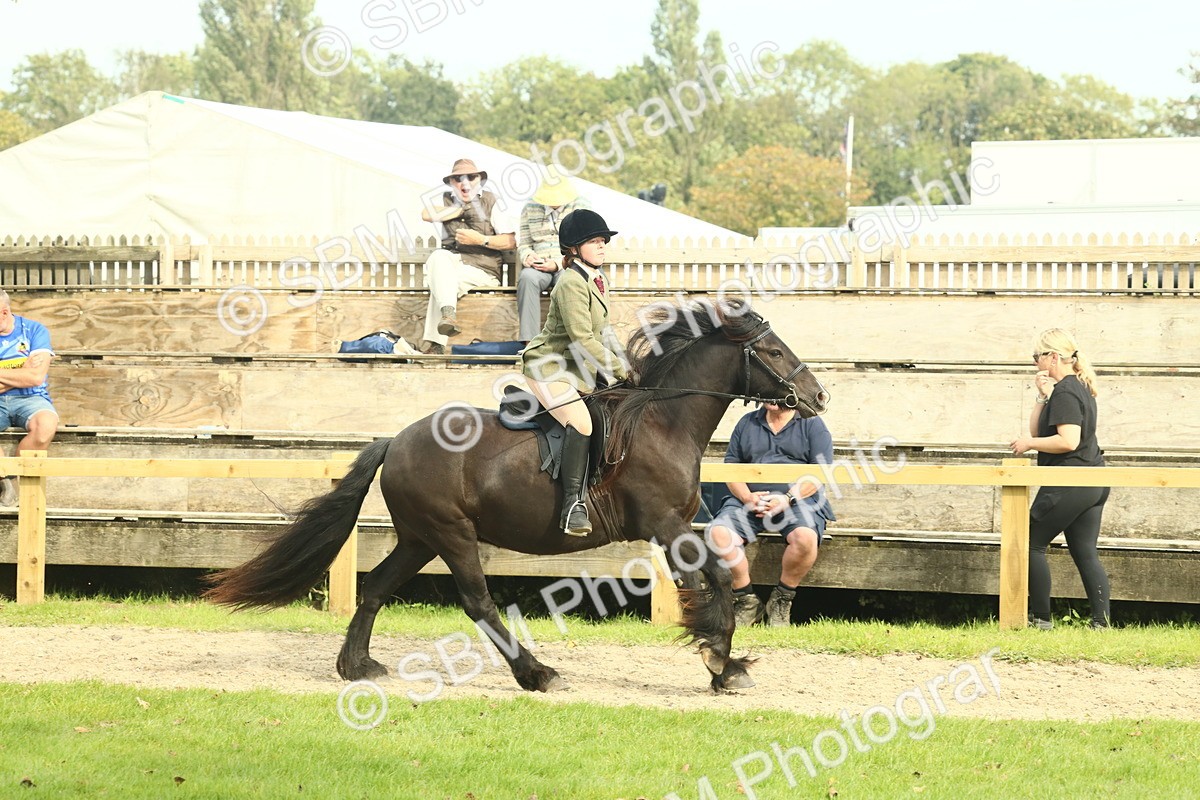 SBM_69361 - S58 - Mini Show Cob Ridden