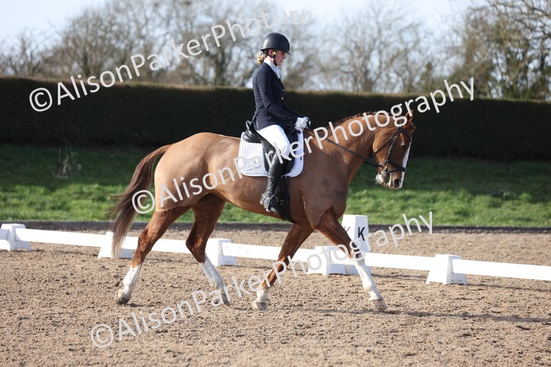 20260214-0611 - Class 5 - Novice 3