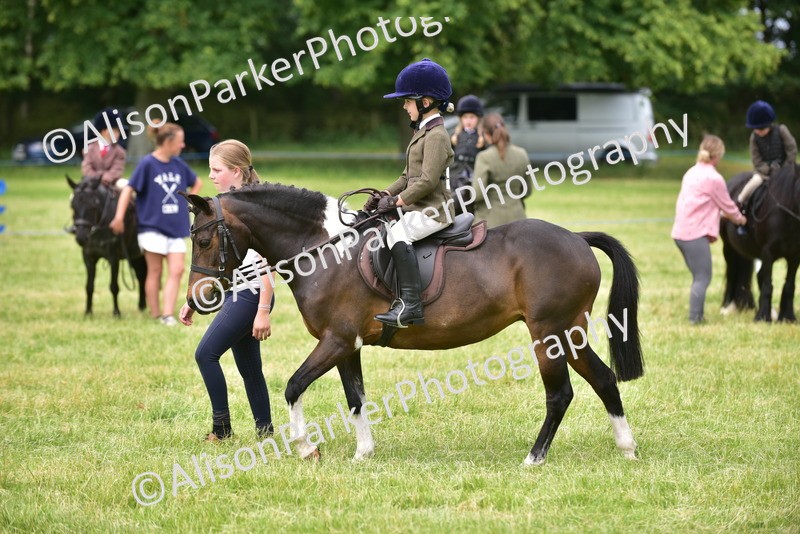 20260614-3672 - Class 15 - Prettiest Mare