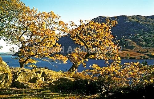 Ullswater - Autumn