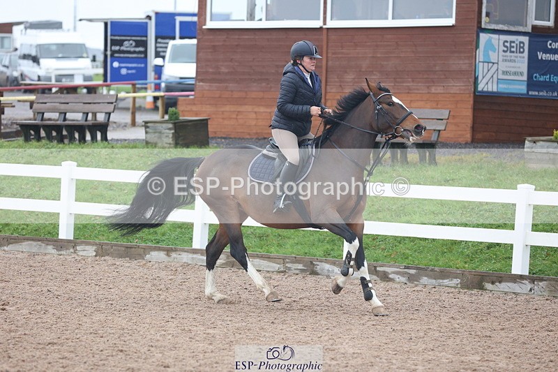 231112A-100739-03210 - Cls 17 Blue Chip Novice Winter Qualifier