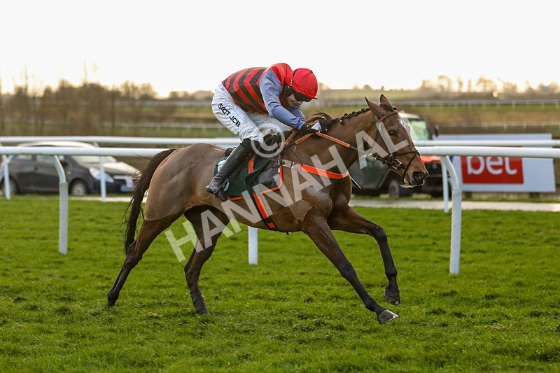 281223-Race 4-Lavida Adiva-3437 - Race 4