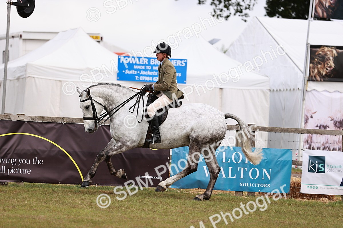SBM_10780 - Class 81-84 - RIHS Ridden hunters Inc Ladies Hunter