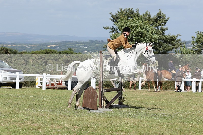 JPP_2495 - Class 20: Working Hunter 70cm