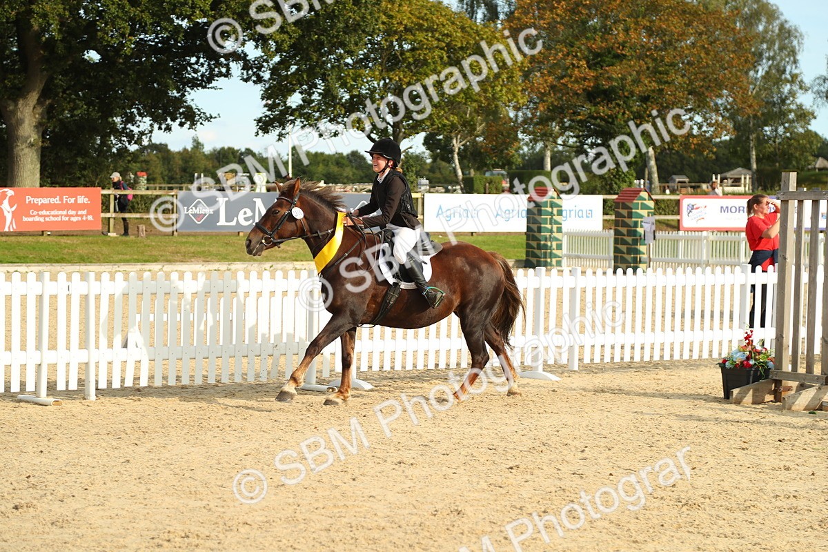 SBM_51768 - J7 - Junior Pony 60cm Championship