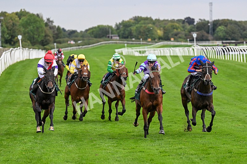 011025-Race 5-Blue Jay Way-0473 - Race 5