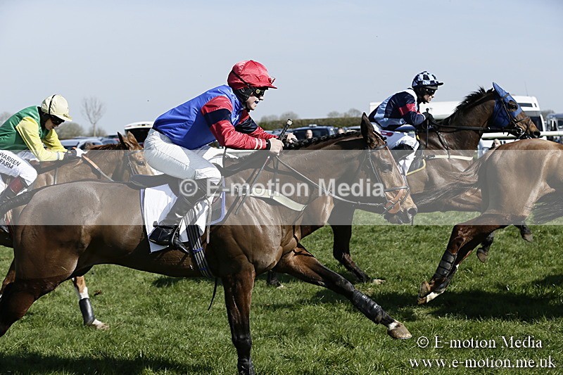 PtP 260317 207 - Mendip Farmers Point-to-Point Ston Easton 26/03/17
