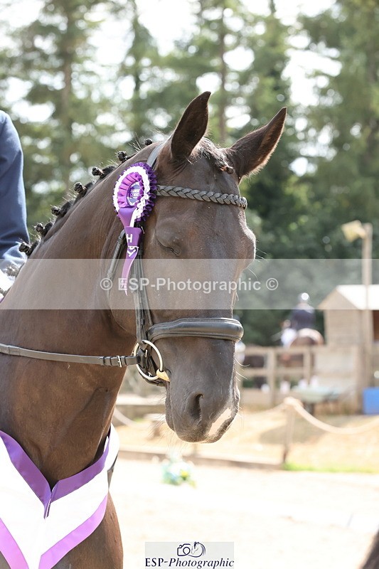 250809A-155431-04669 - Elementary SILVER Presentations