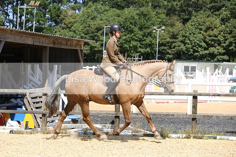 1X9A8815 - Class 19: Riding Club Horse