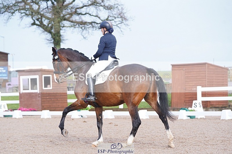 250215-144646-04353 - 194-Fay.Lai-Greenlanes.Lullaby