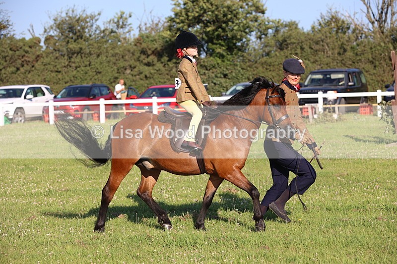 JPP_0737 - Class 16: Cornish Combination Leading Rein