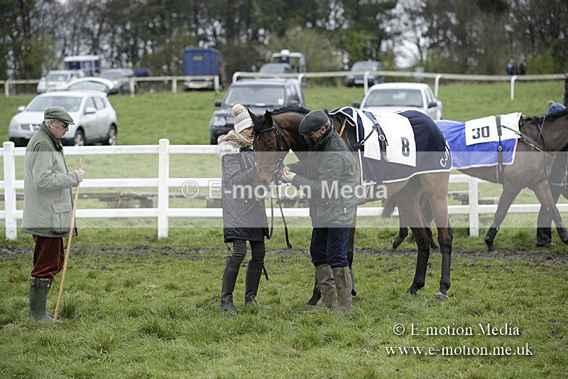 PtP 150320 0262 - New Forest Point-to-Point Larkhill 15/03/20
