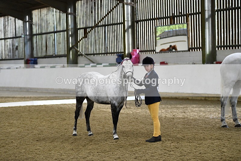 WJ5_3964 - Class 2 Best Condition In hand