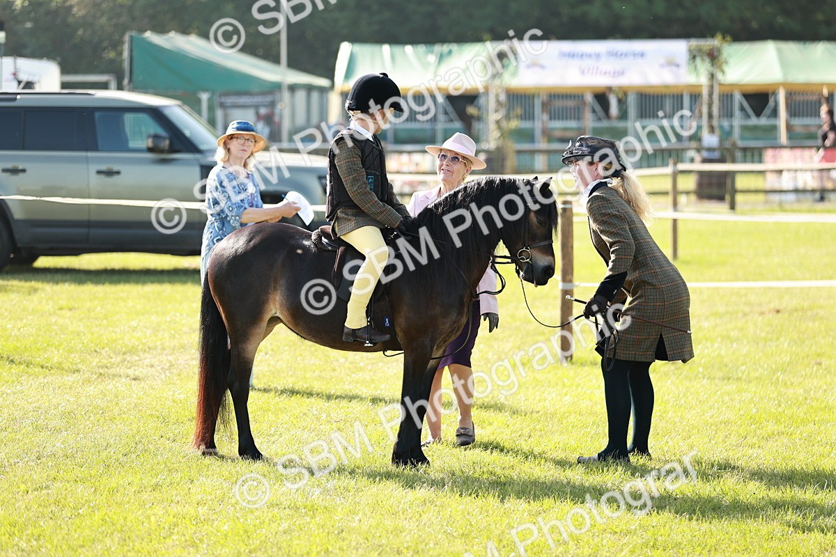 SBM_11201 - Class 106-107 - BSPS LIHS Working Sports Pony