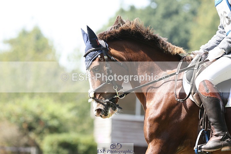 250823A-134153-31348 - Arena D