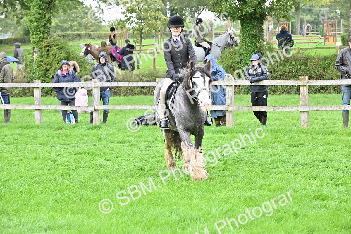 SBM_42981 - S12 - Family Horse & Pony