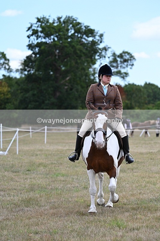 WJ7_5313 - Class 12 Ridden Cob